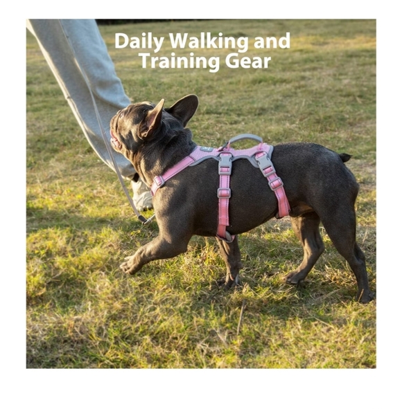 Escape Proof Reflective Dog Harness Size Small - Picture 10 of 11